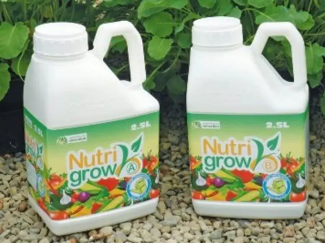 Nutri Grow and Standard Tomato Feed Compared