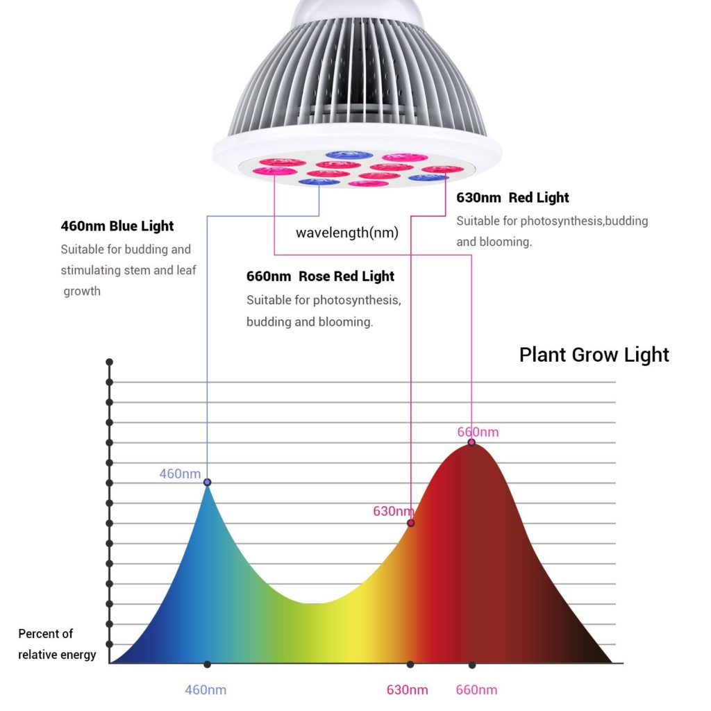 LED Grow Lights Review - Tomato Growing