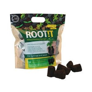 Rootit Sponges - great for Cuttings from Tomato Plants